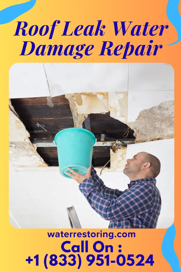 Roof Leak Water Damage Repair in Maupin, OR
